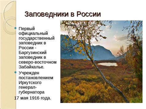 Заповедники в России - презентация к уроку Окружающий мир