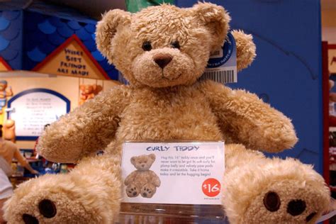 how much to build a bears cost