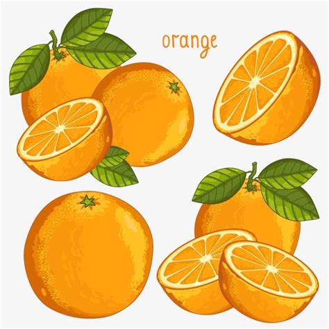 мультфильм апельсины фотографии PNG , мультфильм, апельсин, большой ...
