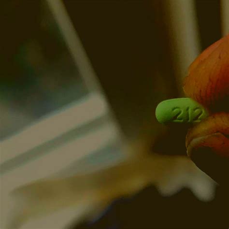 pill mosart beatssleep collective