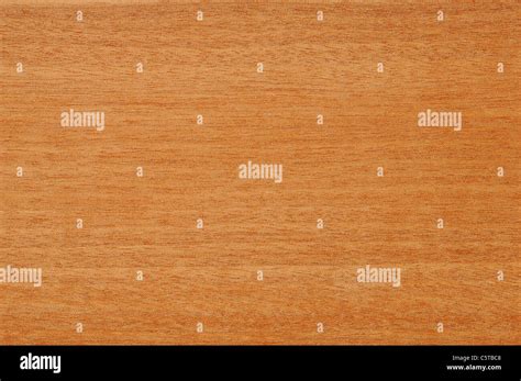 Baillonella toxisperma hi-res stock photography and images - Alamy