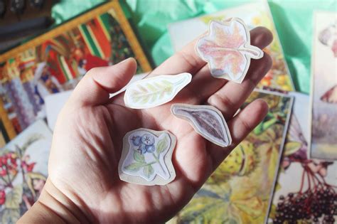 Sr. Carteiro: Troca de cartas – Bosque do Robin