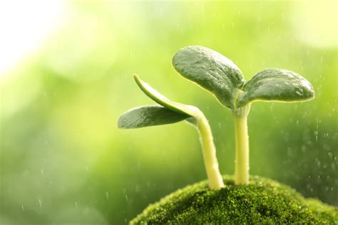 regular periods  im fertile dr michael flynn