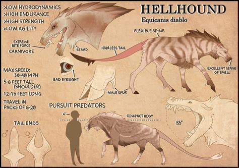 Hellhound [Creature Design] by thepoisonjackal on DeviantArt