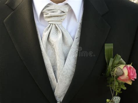 bridegroom stock image image  bride silk party matrimony