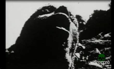 Review of Begotten! - Severed Cinema