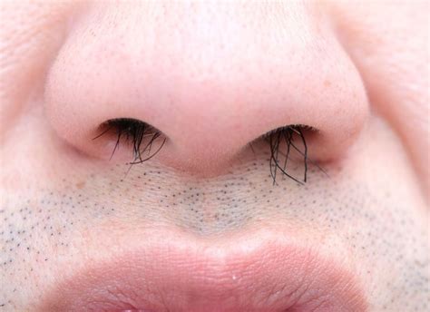 Is Plucking Nose Hairs a Health Risk? - HubPages