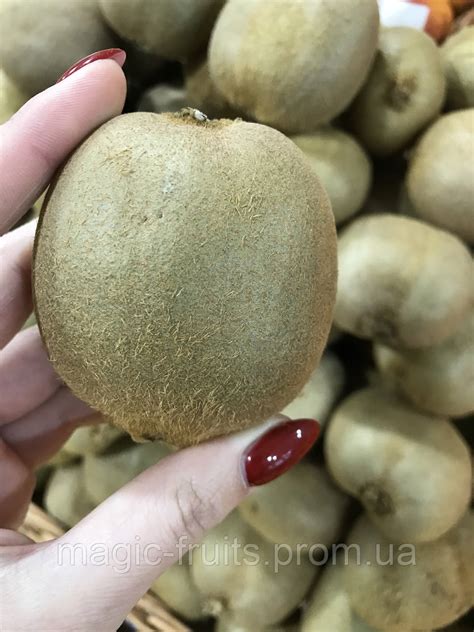 Купить Киви зелёное, цена 15 ₴ — Prom.ua (ID#1690617145)