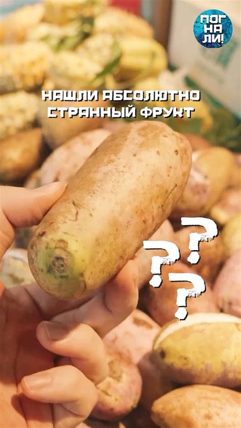Странный фрукт - YouTube
