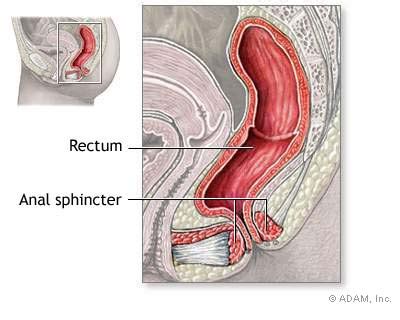 york times health image anal sphincter anatomy