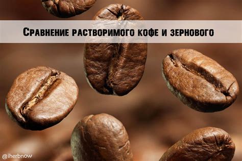 Сравнение кофе в зернах Арабика и Робуста - что вкуснее и не горчит
