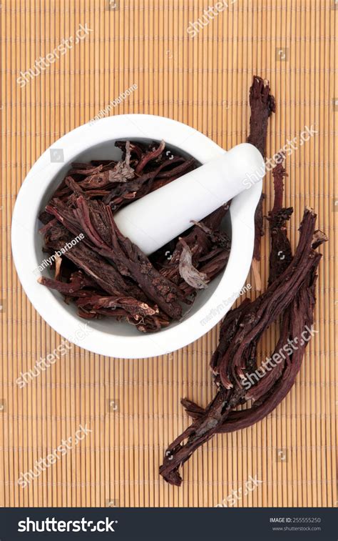 14 Alkanet Root Images, Stock Photos & Vectors | Shutterstock