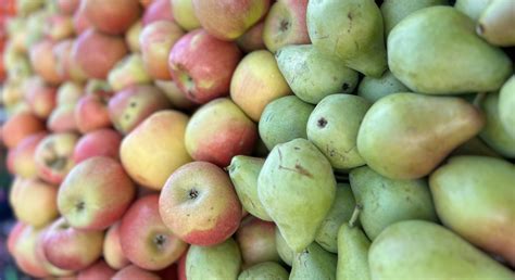 BAOR. Fruit and vegetable juices and concentrates | multifruit concentrate