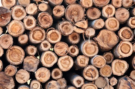 Logs - PackPros