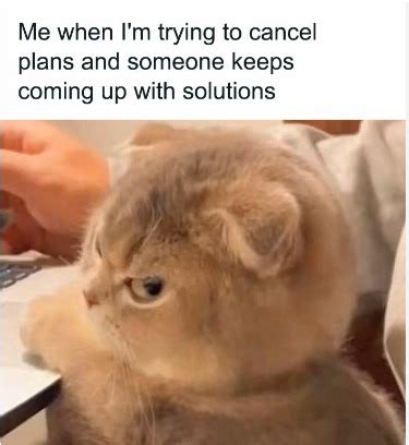 side eye meme  theshasha memedroid