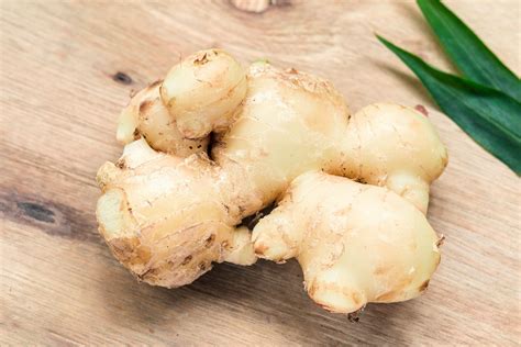 Fresh Ginger Global Trade Value