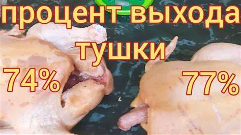 Выход тушки бройлера. Бройлер Арбор Айкрес. Как из живого бройлера ...