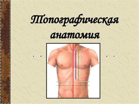 Топографическая анатомия План 1 Топографическая анатомия 2