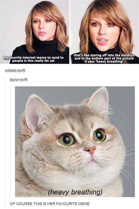 Taylor swifts favorite meme | Funny times, Tumblr funny, The picture people