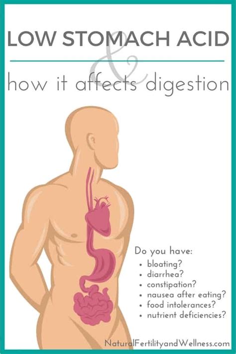 Low stomach acid and how it affects your digestion