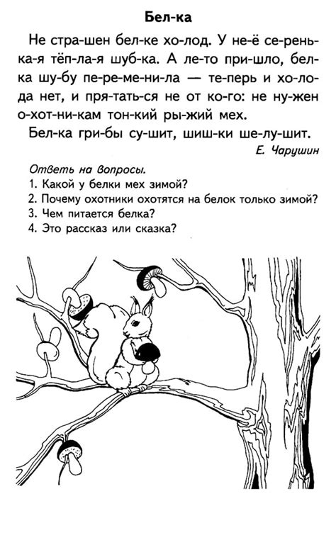 20 текстов для чтения детей 5-6-7-8 лет