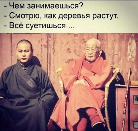 Чем занимаешься Смотрю как деревья растут Всё суетишься - выпуск №1341772