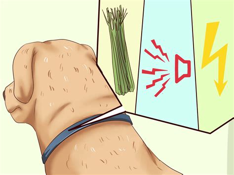 How To Stop Barking Dog In Seconds