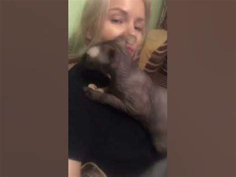 Ласковая #кошка - YouTube