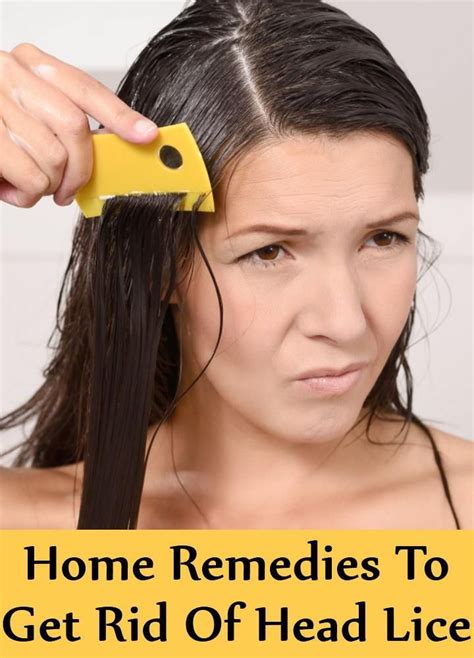 Quick Home Remedies To Get Rid Of Head Lice - How To Treat Head Lice ...