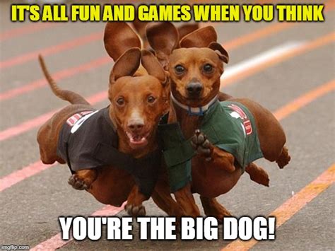 The Big Dog! - Imgflip