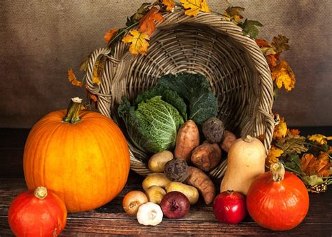 8 Clever Ways to Eat Organic Food on a Tight Budget | Greener Ideal
