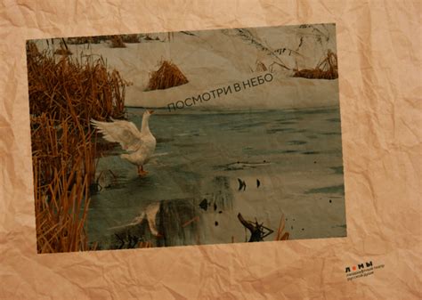 Что привезти из Ломовского природно-ландшафтного парка