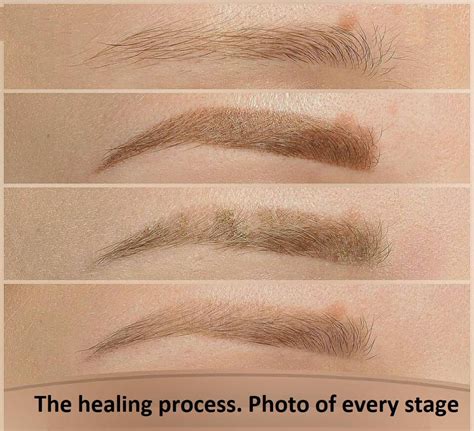 Discover 56+ eyebrow tattoo healing time - in.cdgdbentre