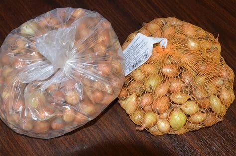 Как выбрать севок для обильного урожая. Лучшие сорта репчатого лука ...