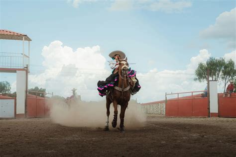 Reverse+Cowgirl+Gif Photos, Download The BEST Free Reverse+Cowgirl+Gif