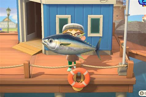 Animal Crossing New Horizons Fish Guide List Of All Fishes,, 40% OFF