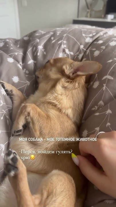 Не хочу 🤣 - YouTube