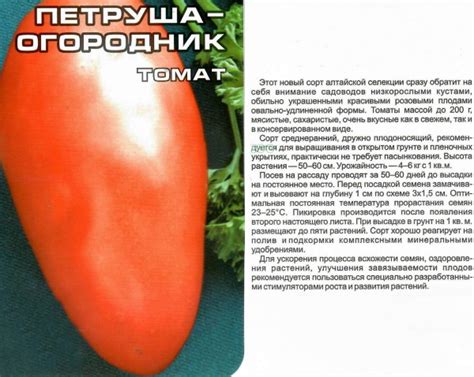 Томат Петруша Огородник. Отзывы, фото, урожайность, характеристика и ...