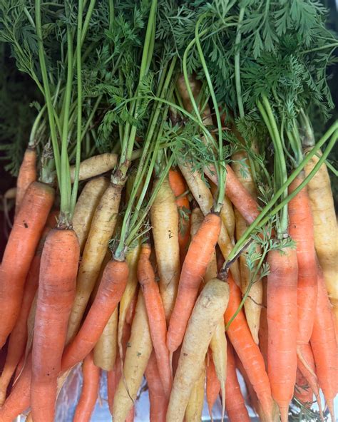 Exist Green | Omaha NE