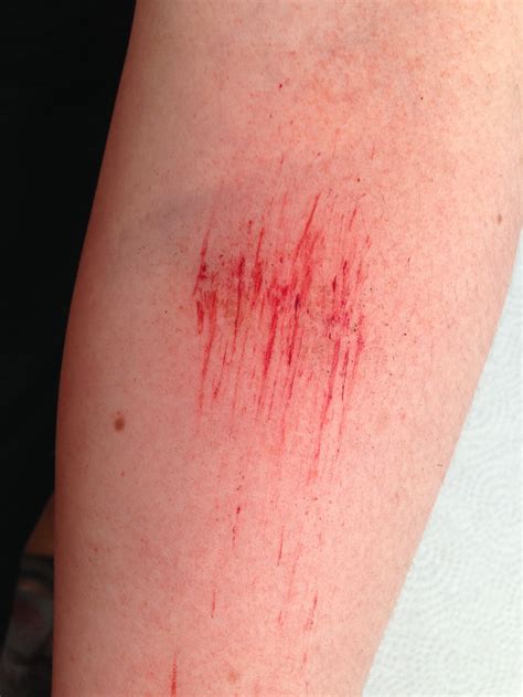 scrapes close   doublerdiner  deviantart