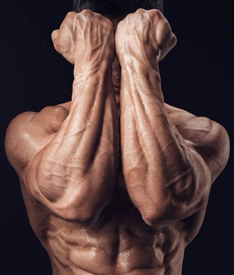 effective full body workouts  maximum results