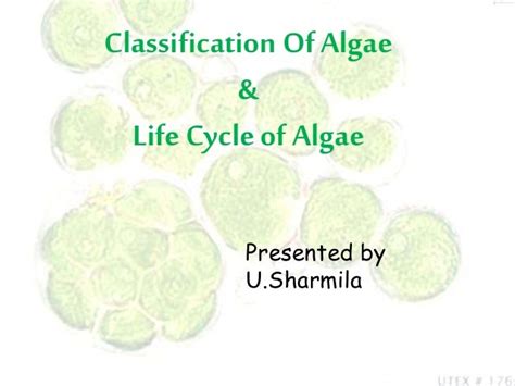 Classification of Algae