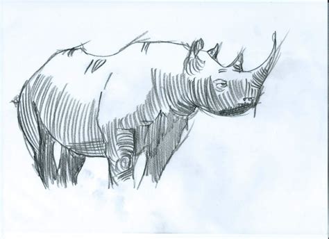 Scan Sketch at PaintingValley.com | Explore collection of Scan Sketch