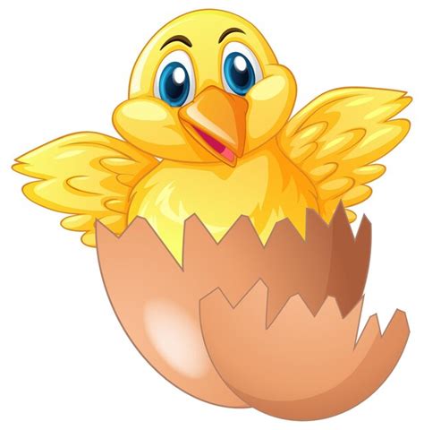 Pollito saliendo del huevo | Vector Gratis