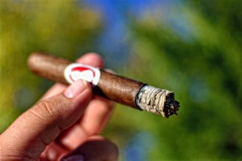 la_duena_6 - Cigar Reviews | Beer Pairings | Casas Fumando