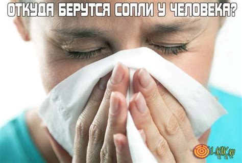 Откуда берутся сопли у людей? Источник соплей. Что делать, если текут ...