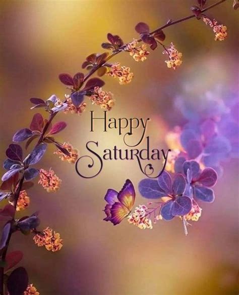 Saturday quotes – Artofit