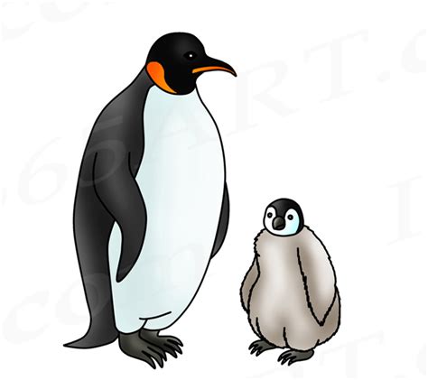 The Emperor Penguin Life Cycle - Arctic Animals - HubPages