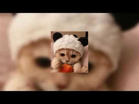 Moulaga - ( Speed Up ) - YouTube