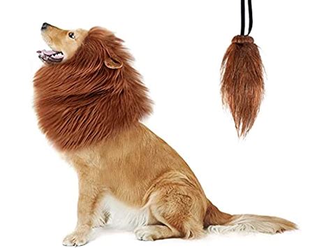 Lion Mane for Medium to Large Dogs